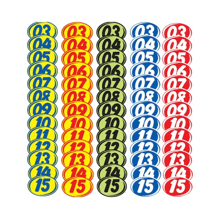 Ez Line White & Blue Bold Year Model Signs: 11 Pk 226-WB-11